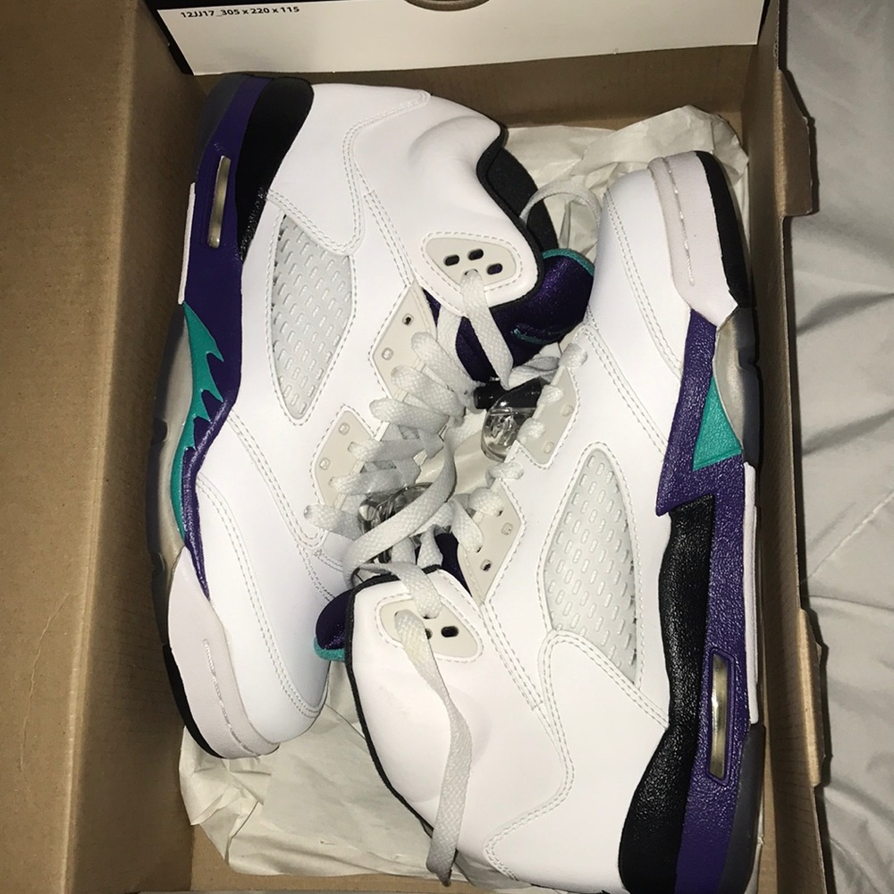Air Jordan 5 retro (grape 5’s)